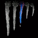 11.02in/13.77in/17.71in/21.65in/25.59in Big Long Octopus Tentacle Soft Dildo