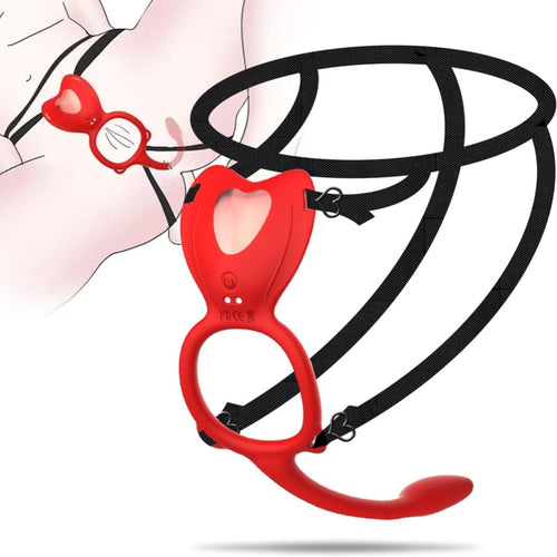 Wearable Panty Clitoral Anal Vibrator With Remote Control