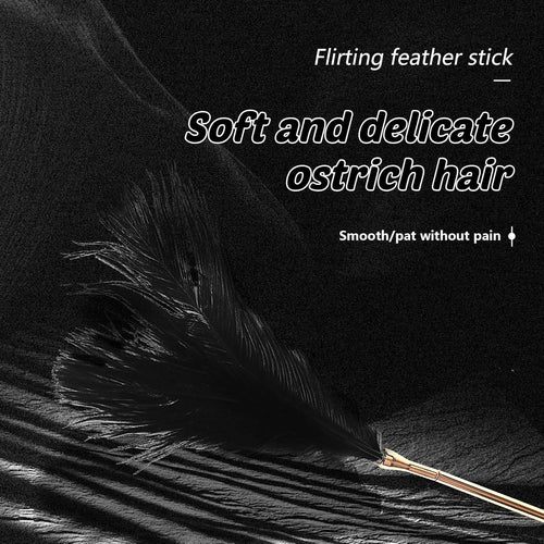 SM Feather Tickler with Metal Handle Role Play