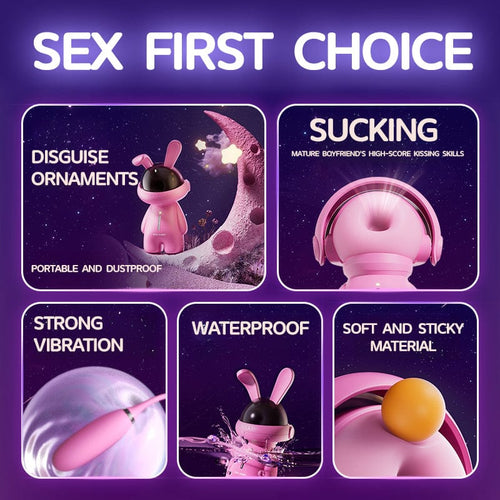 Fashion Ornaments Rabbit Clitoris Sucking Vibrator Set With Dust Cover