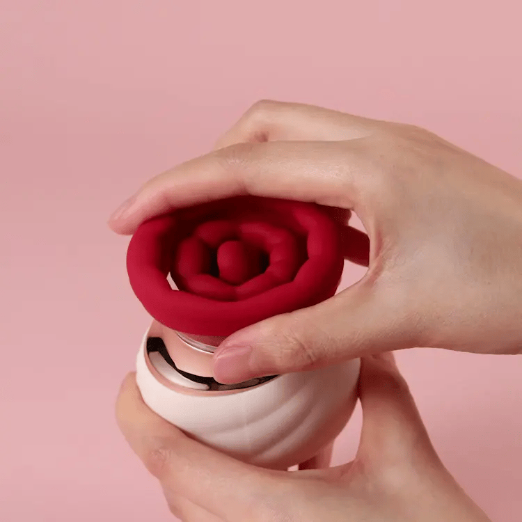 Camellia - Joylume