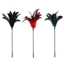 SM Feather Tickler with Metal Handle Role Play