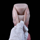 Thor - 11.81in Dual Density Soft Dildo